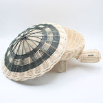 Basket - Turtle