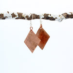 Earrings - Copper