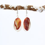 Earrings - Shell