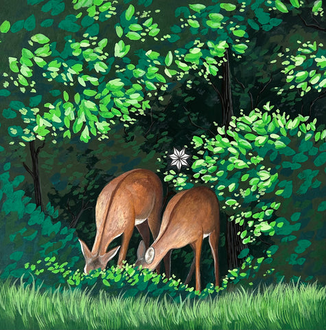 ᏔᎵ ᎠᏫ Tali-Awi (Two Deer)