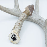 Knife - Wolf Paw