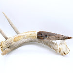 Knife - Deer Antler