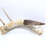 Knife - Deer Antler