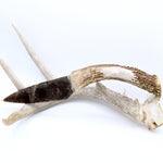 Knife - Deer Antler