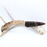 Knife - Deer Antler