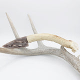 Knife - Deer Antler