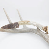 Knife - Deer Antler