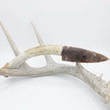 Knife - Deer Antler