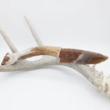 Knife - Deer Antler