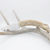 Knife - Deer Antler