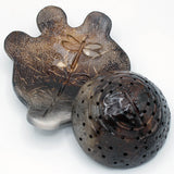 Pottery - Turtle