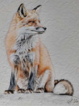 ᏧᏍᏆᎦᏟ ᎤᏪᏯ Tsusquagatli Uweya (Fox Spirit)