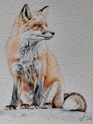 ᏧᏍᏆᎦᏟ ᎤᏪᏯ Tsusquagatli Uweya (Fox Spirit)