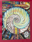 Color of Creation